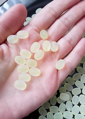 Beden sarı buğulu takı boncukları