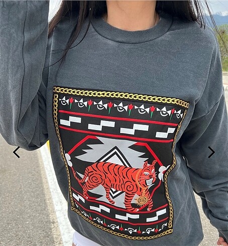 Sweatshirt