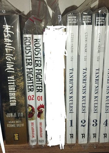 insanligimi yitirirken Tanrının Kulesi manga çizgi Roman