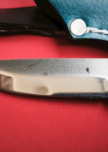 GEYİK BOYNUZU  BOZKURT  & AYYILDIZ - Görsel 3