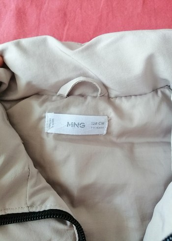 Gri Fermuarlı Yelek - Görsel 2