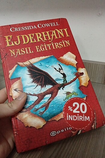 Ejderhanı nasıl eğitirsin kitap