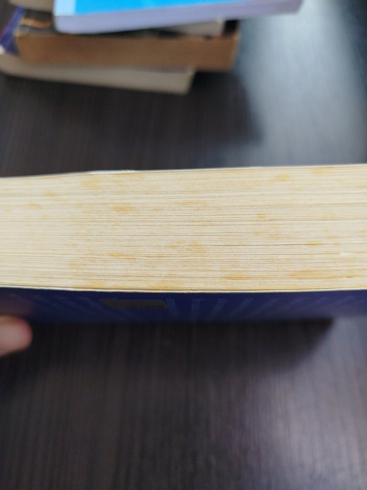 Stephen Hawking Herkül'ü Döver - Çocuklara Denemeler - Görsel 5