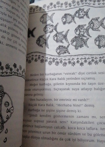 Küçük Kara Balık - Görsel 2