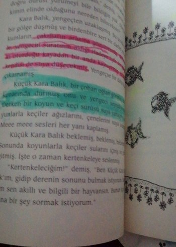 Küçük Kara Balık - Görsel 3