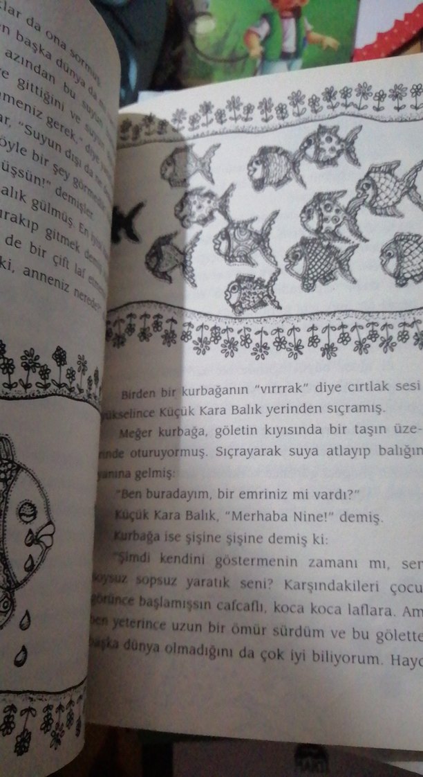 Küçük Kara Balık - Görsel 2