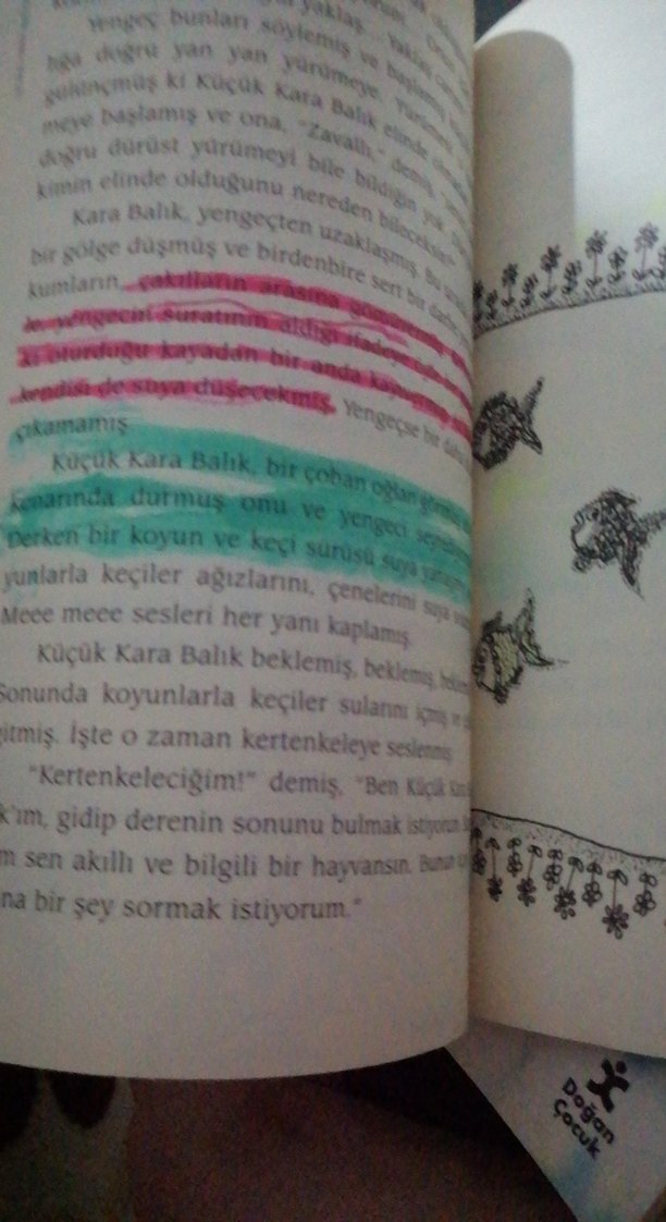 Küçük Kara Balık - Görsel 3