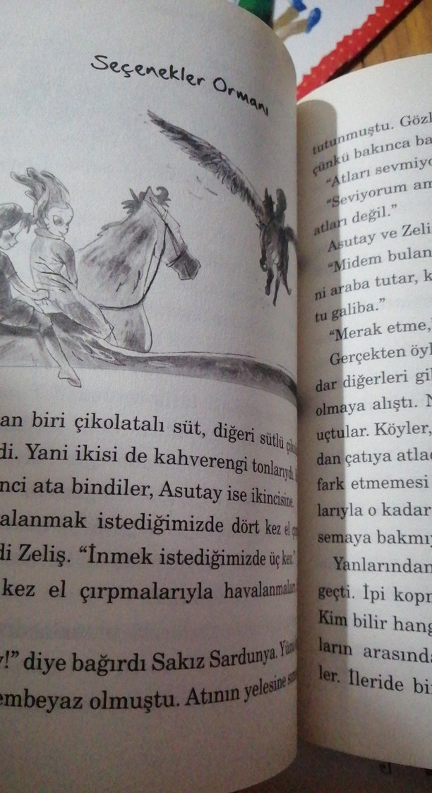 Sakız Sardunya Çocuk Hikaye Kitabı - Görsel 2