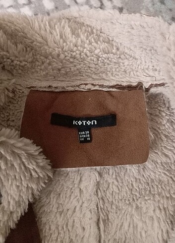 Koton mont