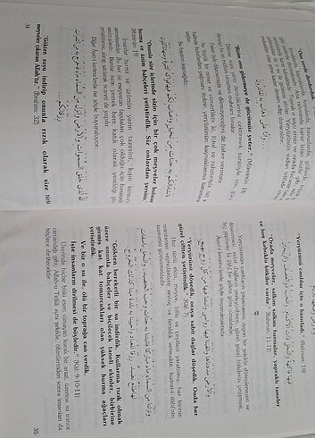 Beden Bitkilerdeki Şifalar