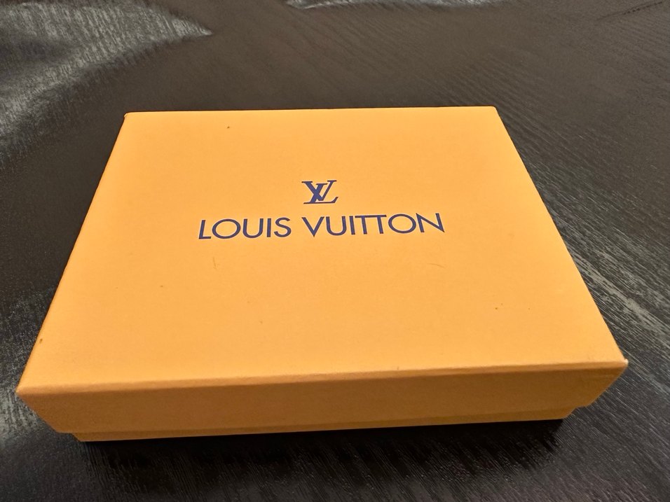 Louis Vuitton Benzeri Altın Renk Zincirli Kadın Kolye ve Küpe - Görsel 5