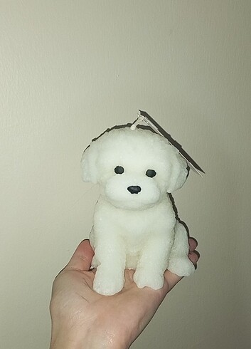  Beden Büyük köpek mum