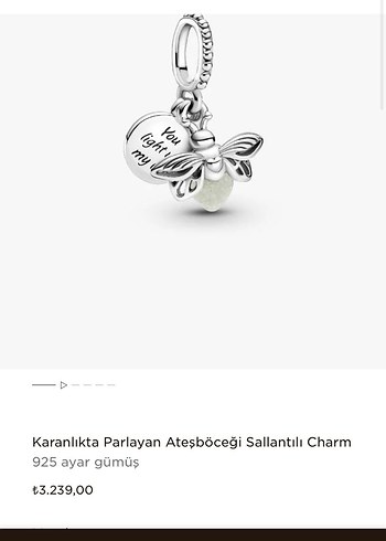 Gümüş İşlemeli Pul Detaylı Kadın Charm pandora - Görsel 4