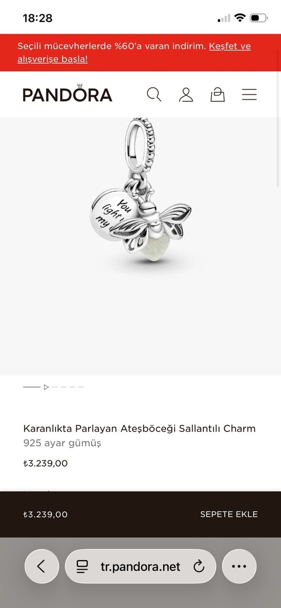 Gümüş İşlemeli Pul Detaylı Kadın Charm pandora - Görsel 4