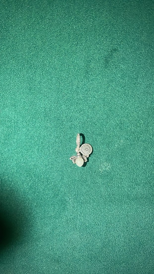 Gümüş İşlemeli Pul Detaylı Kadın Charm pandora - Görsel 3