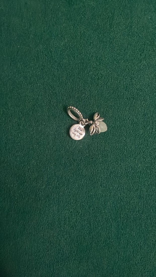 Gümüş İşlemeli Pul Detaylı Kadın Charm pandora - Görsel 2