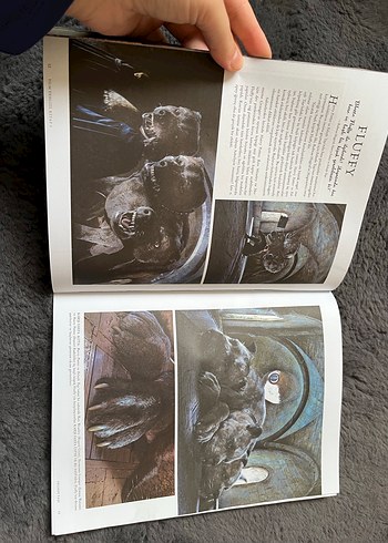 Harry Potter Film Rehberleri Seti - Görsel 11