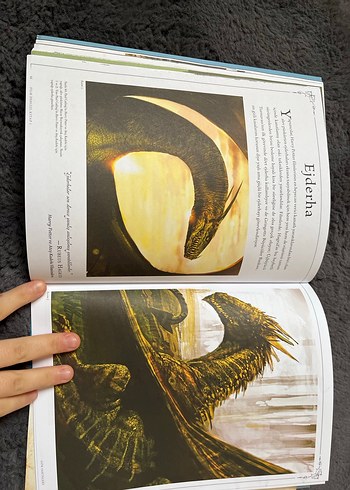 Harry Potter Film Rehberleri Seti - Görsel 4