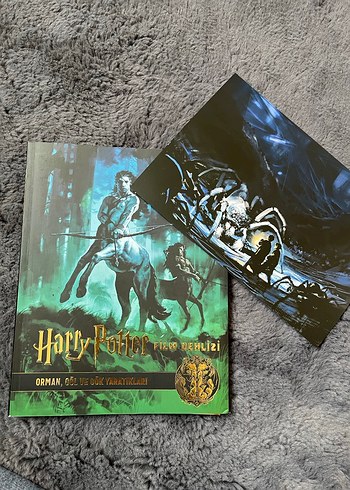 Harry Potter Film Rehberleri Seti - Görsel 5