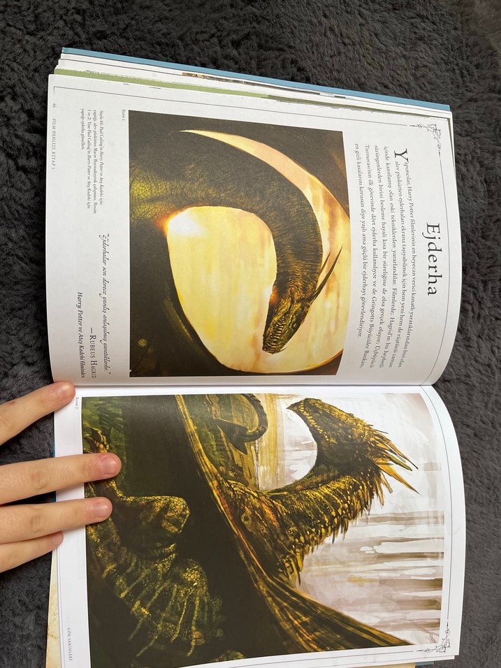 Harry Potter Film Rehberleri Seti - Görsel 4