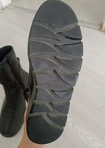 ECCO bot - Görsel 2