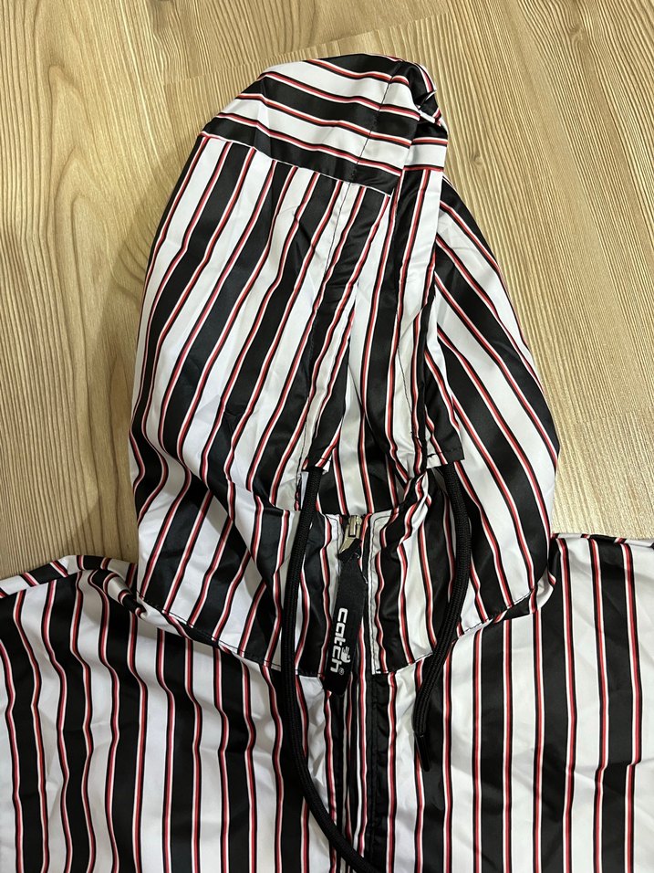 Çizgili Kapüşonlu Erkek Yağmurluk - Görsel 4