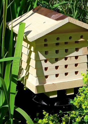 Wildlife arı kovanı - Görsel 4