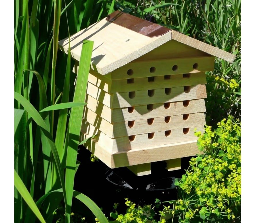 Wildlife arı kovanı - Görsel 4