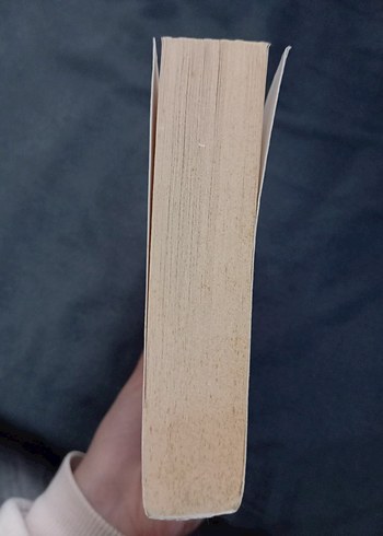 Küçük Hırsız Roman - Görsel 2