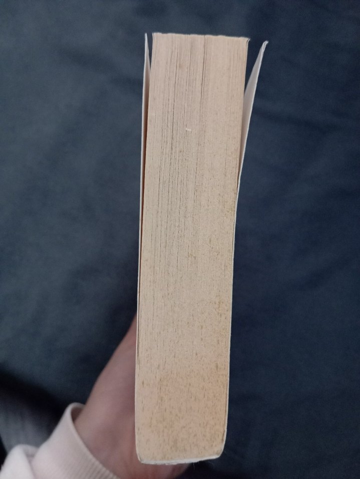 Küçük Hırsız Roman - Görsel 2