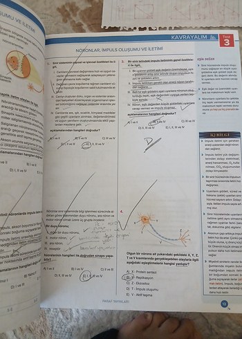 Beden AYT IQ Biyoloji Soru Kütüphanesi