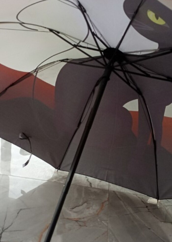 Bayan şemsiye  - Görsel 2