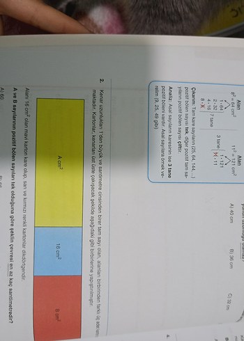 Beden Renk İntro Matematik introskop LGS 8. sınıf soru bankası
