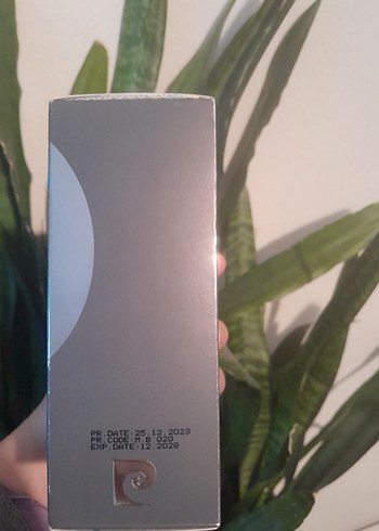 Pierre Cardin Hyères Kadın Parfümü 100 ml - Görsel 2