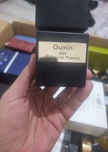 terenzi gumin - Görsel 4