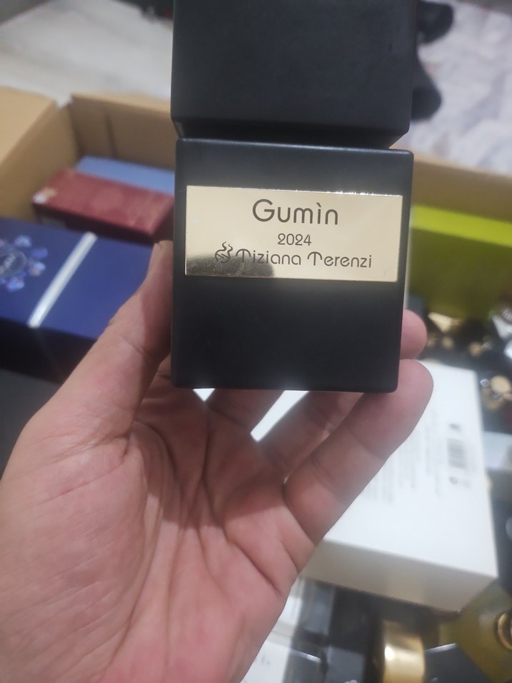 terenzi gumin - Görsel 4