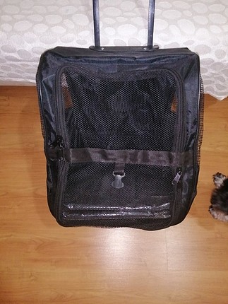 çekçekli kedi köpek sırt çantası 