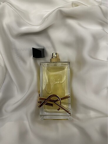  Beden ysl libre