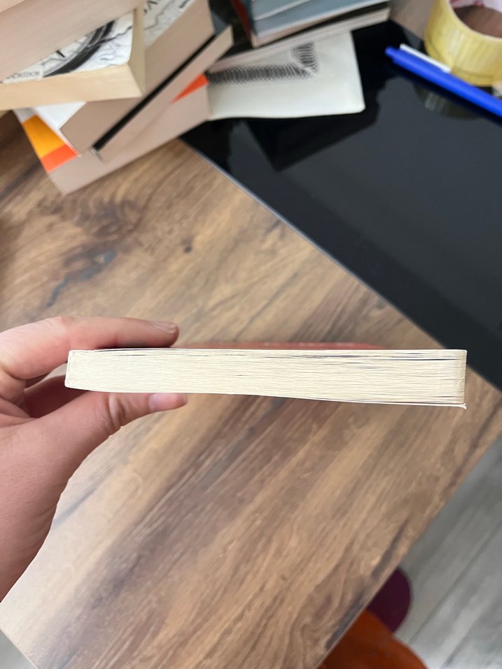 Demografik İşgal - Ümit Özdağ - Görsel 4