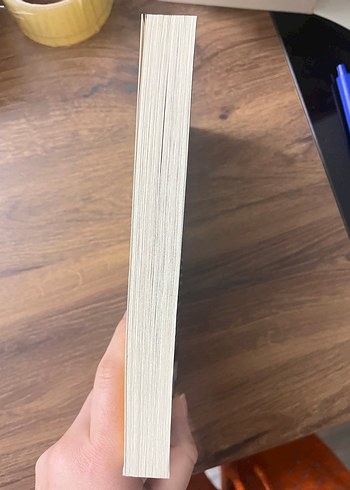 Sarı Yüz - R.F. Kuang - Görsel 3