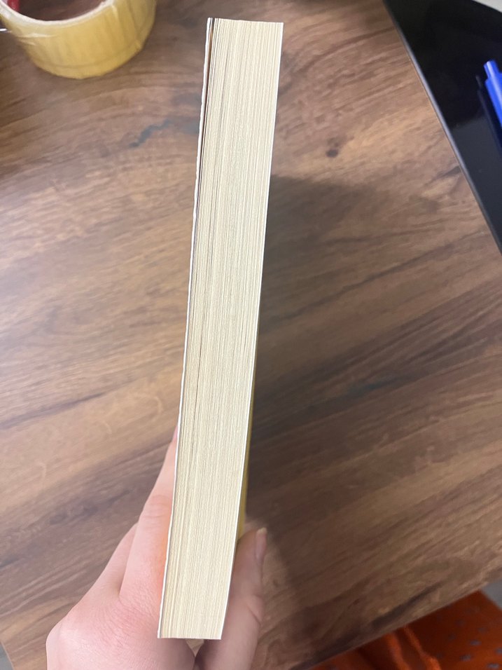 José Saramago - Körlük Romanı - Görsel 3