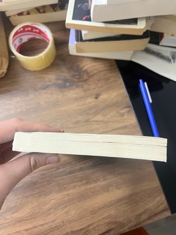 İçimdeki Müzik - Sharon M. Draper - Görsel 4