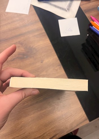 Beni asla bırakma-kazuo ishiguro - Görsel 4