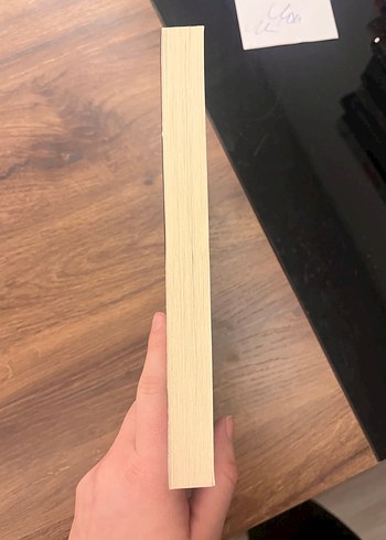 Beni asla bırakma-kazuo ishiguro - Görsel 3