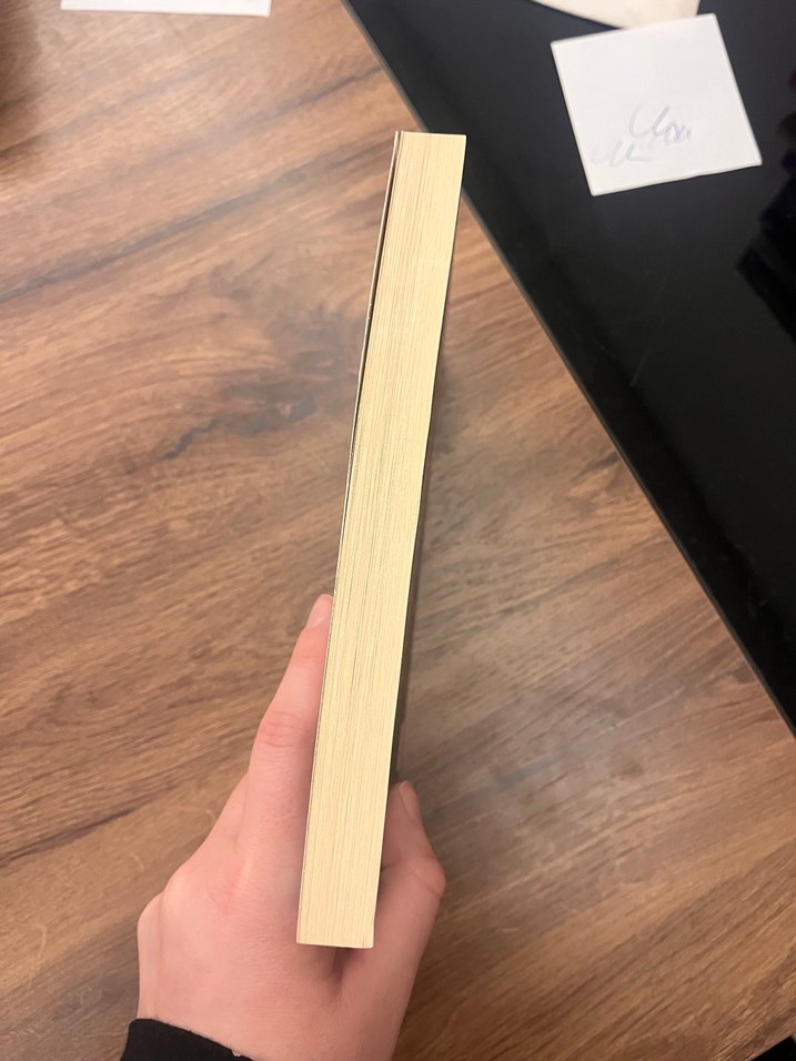 Sabahattin Ali - İçimizdeki Şeytan Romanı - Görsel 3