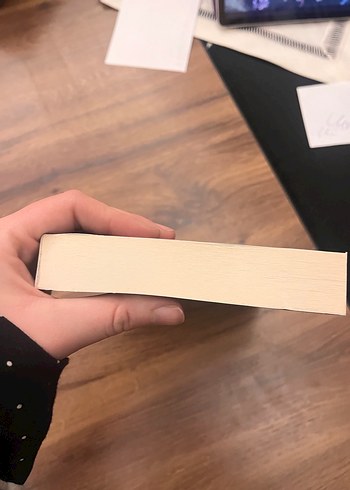 Bir Maniniz Yoksa Annemler Size Gelecek - Ayfer Tunç - Görsel 4