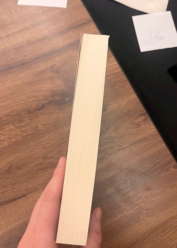 Bir Maniniz Yoksa Annemler Size Gelecek - Ayfer Tunç - Görsel 3