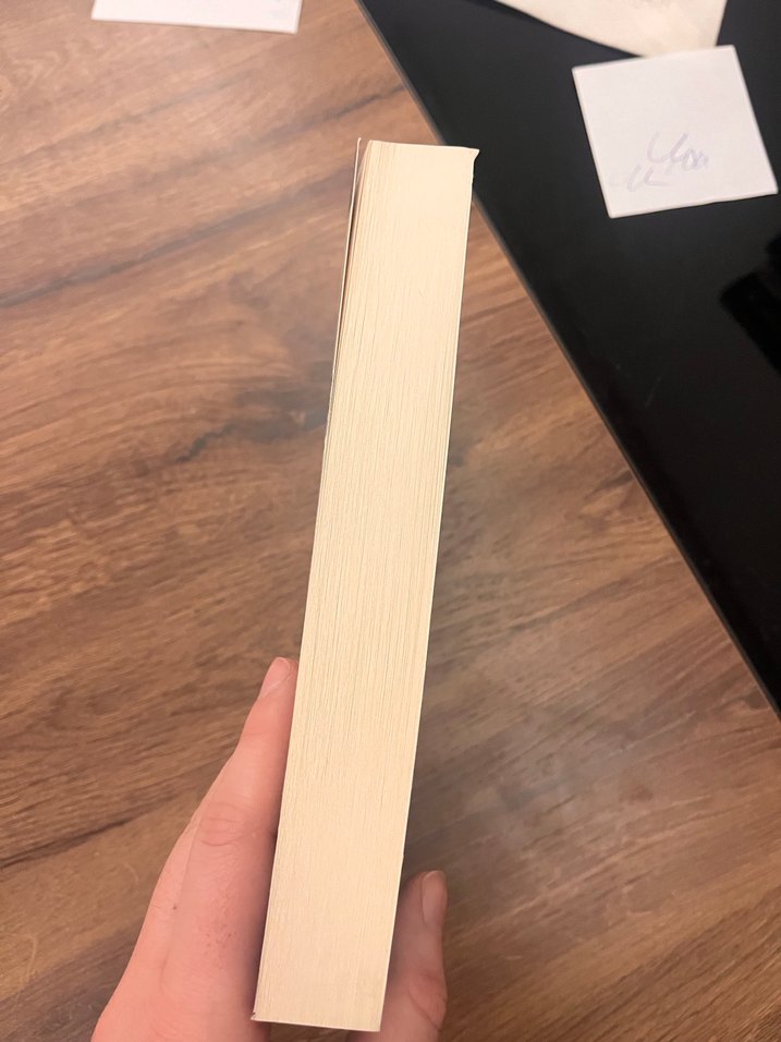 Bir Maniniz Yoksa Annemler Size Gelecek - Ayfer Tunç - Görsel 3