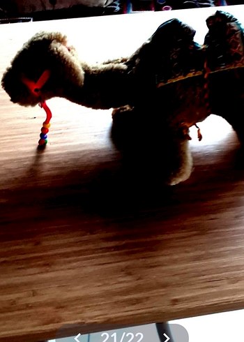 Beden Camel Renkli Peluş Deve Oyuncak