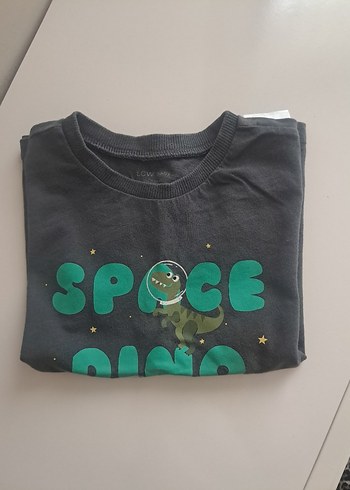 Gri Erkek Çocuk Kısa Kollu Baskılı Tişört